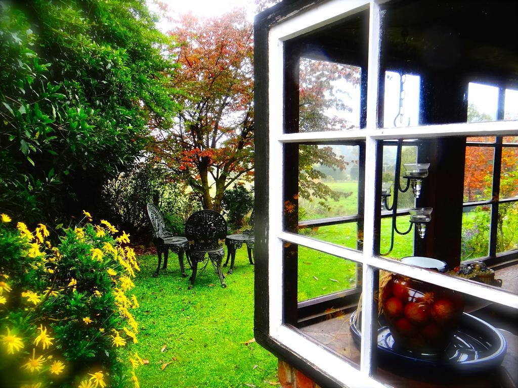 Arden Country House Waitati Exterior foto