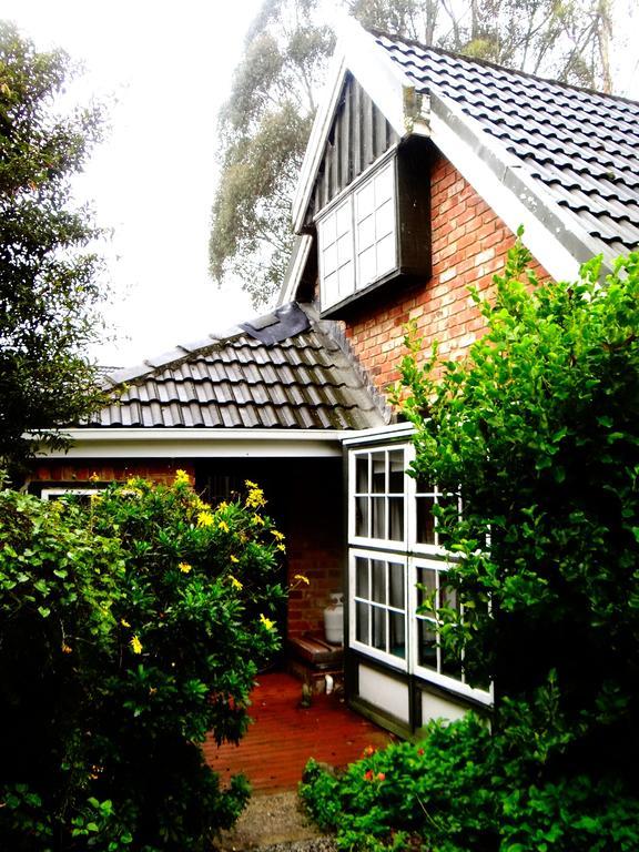 Arden Country House Waitati Exterior foto